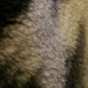 Meet your Posher, Jack